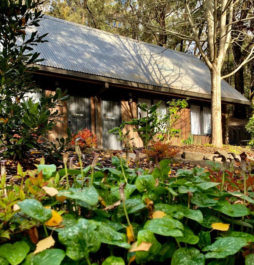 Emerald Star Cottages 外观 照片