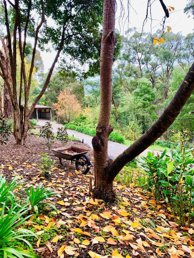 Emerald Star Cottages 外观 照片